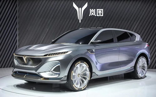 嵐圖汽車首秀國際車展 以“蔚派”姿態(tài)，交出怎樣的成績單？
